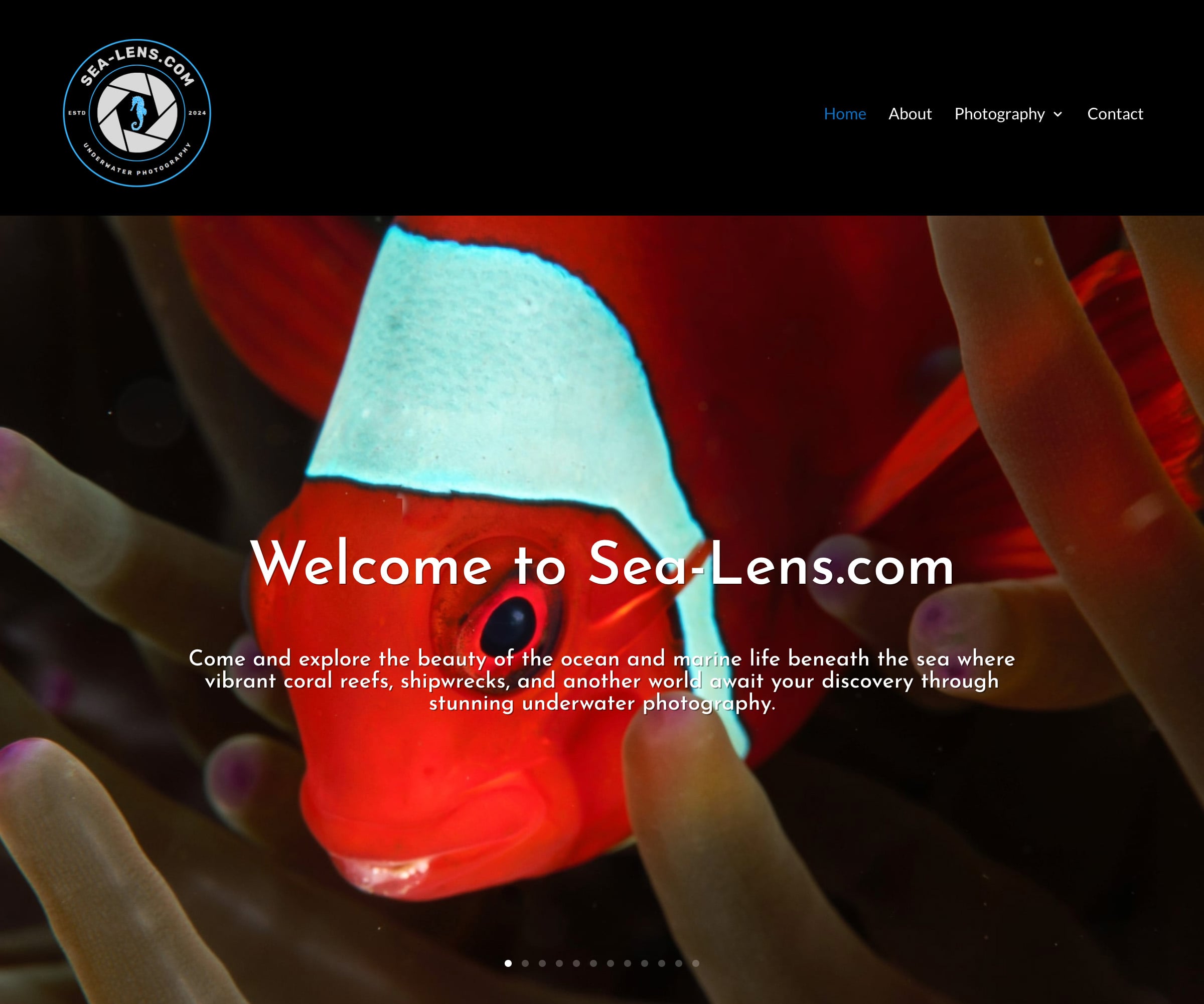 Sea Lens, ocean photography, website development